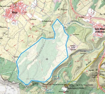 Dissabte hi ha batuda per caçar porcs senglars a Cal Passeres i Serra Llarga