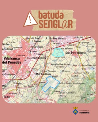 Batuda per caçar porcs senglars aquest dissabte a La Serreta i cal Pere Pastor