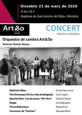 Concert amb l'orquestra de cambra Art&SO
