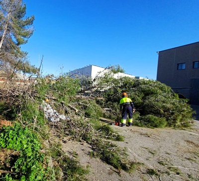 Els serveis municipals atenen una seixantena d’incidències per la ventada extrema