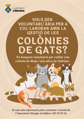 Es busquen persones voluntàries per tenir cura de colònies de gats a Olèrdola