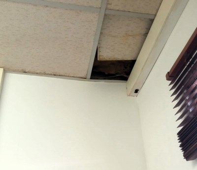 Peticions d’arranjament de l’edifici de l’escola Circell