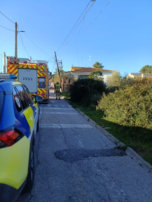 Serveis municipals actius per la ventada extrema