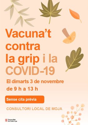 Vacunació contra la grip i la COVID-19 a Moja sense cita prèvia