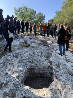 Visita al Pla dels Albats aquest diumenge
